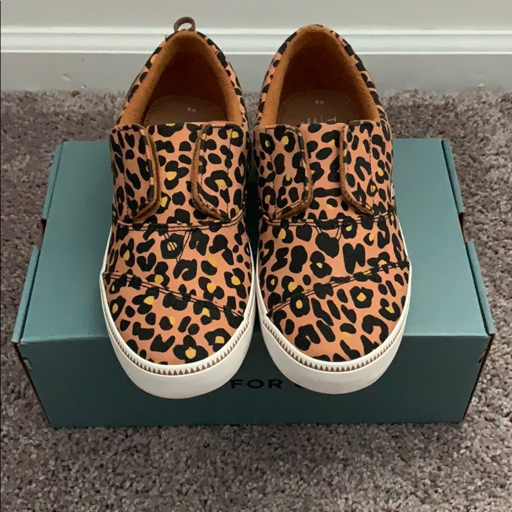 TOMS